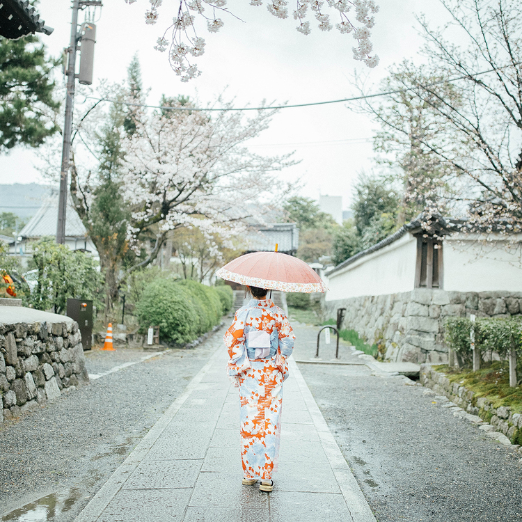 点击大图看下一张:掠影之在京都