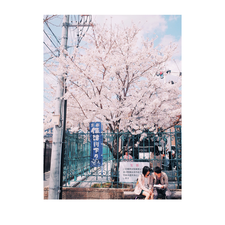 点击大图看下一张:一明一灭一尺间