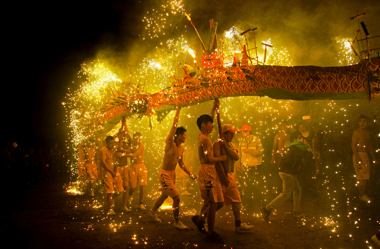 点击大图看下一张:广东埔寨火龙