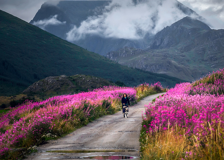 点击大图看下一张：寄情挪威山水间