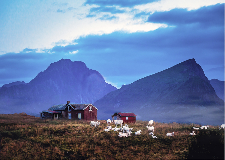 点击大图看下一张:寄情挪威山水间