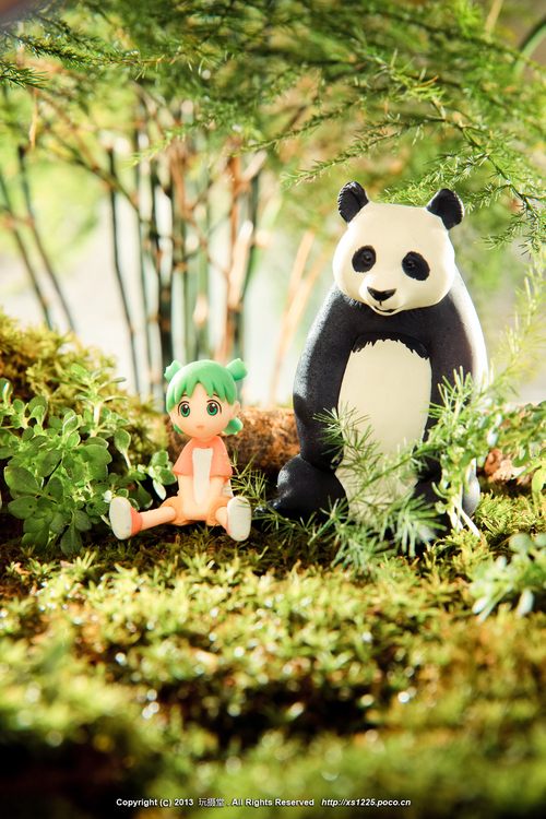 点击大图看下一张：达物动物园