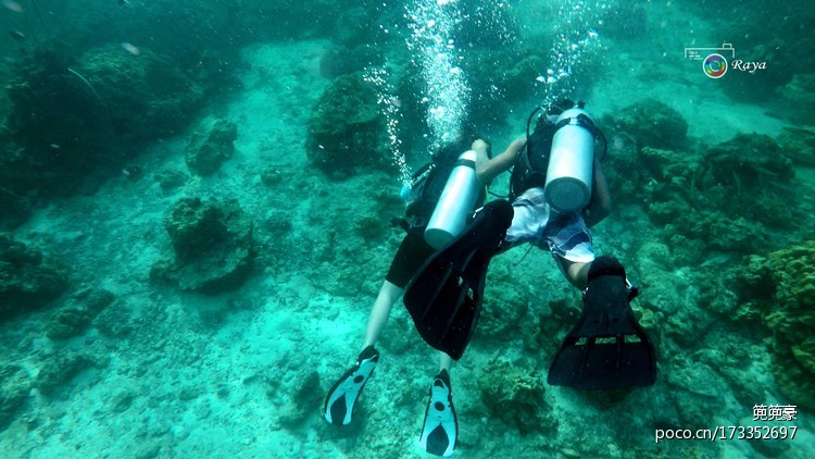 点击大图看下一张:深潜水下映像