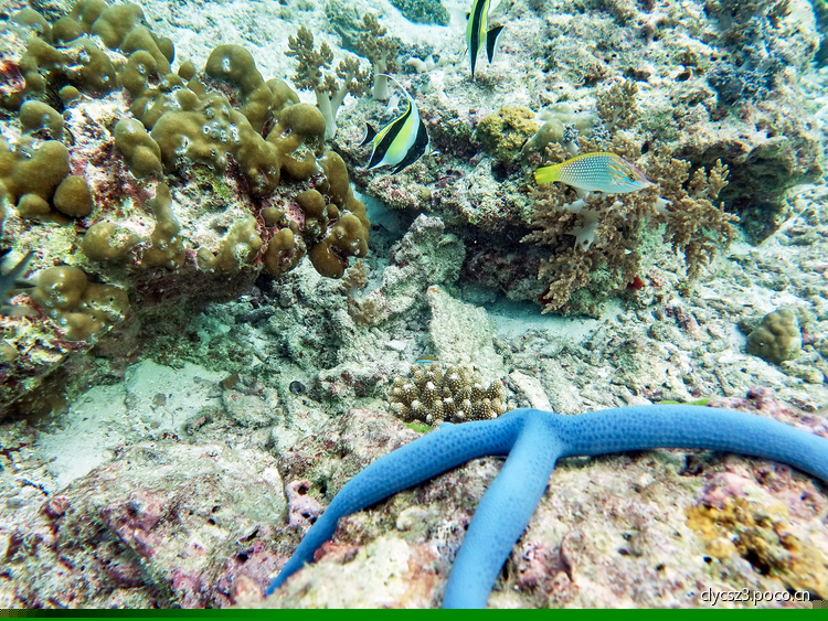 点击大图看下一张:水下体验拍摄