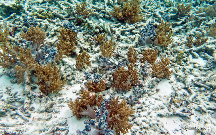 点击大图看下一张：水下体验拍摄