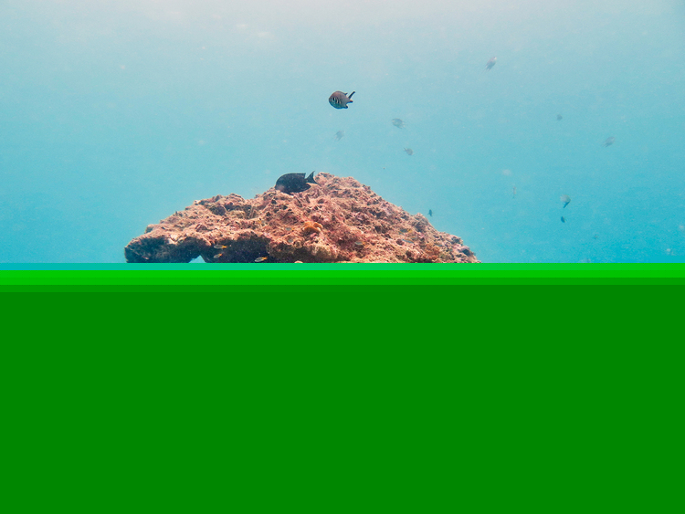 点击大图看下一张：水下体验拍摄