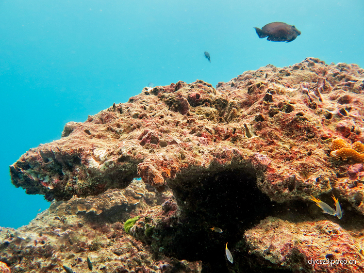 点击大图看下一张:水下体验拍摄
