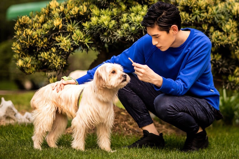 点击大图看下一张:金泰焕高清大图 暖男和狗狗有爱互动