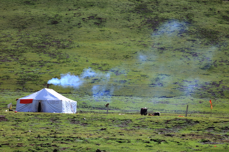 点击大图看下一张：悠悠牧场 淡淡草香