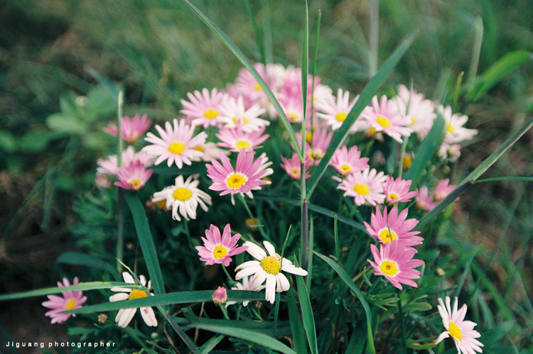 点击大图看下一张：胶卷忘不了那一汪水