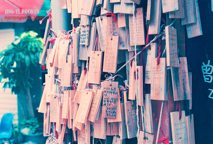 点击大图看下一张:那年 随行