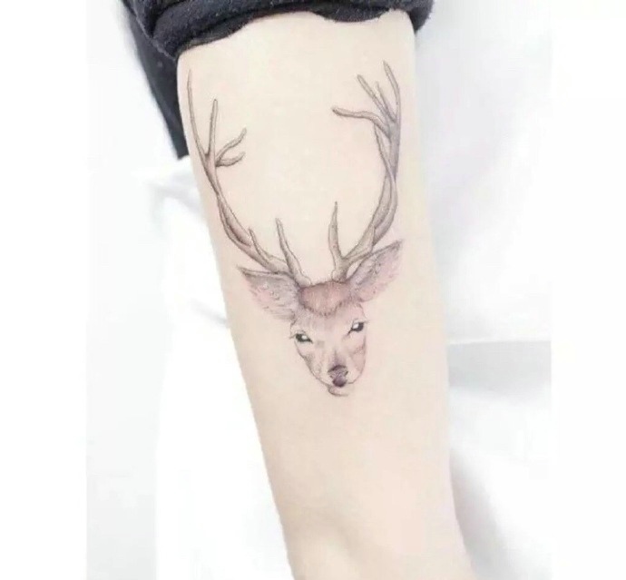 点击大图看下一张：一组惹人爱的可爱小鹿纹身图案