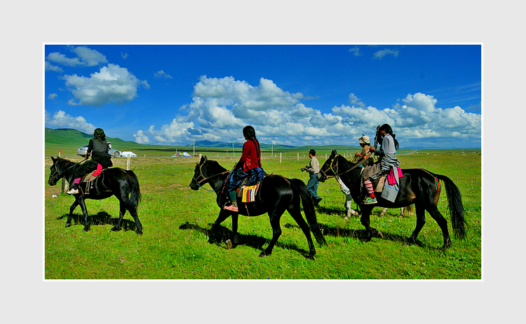 点击大图看下一张：春暖若尔盖