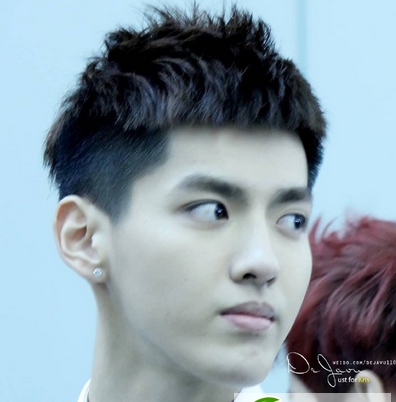 点击大图看下一张:吴亦凡李易峰发型设计图片