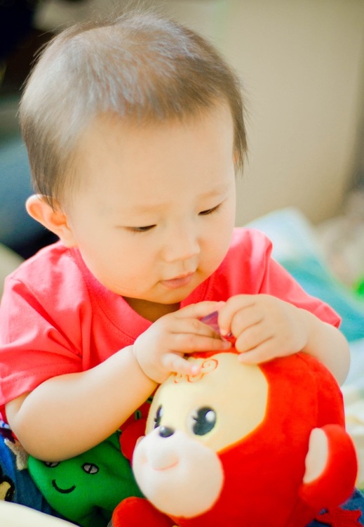 点击大图看下一张：快快长大小朵朵