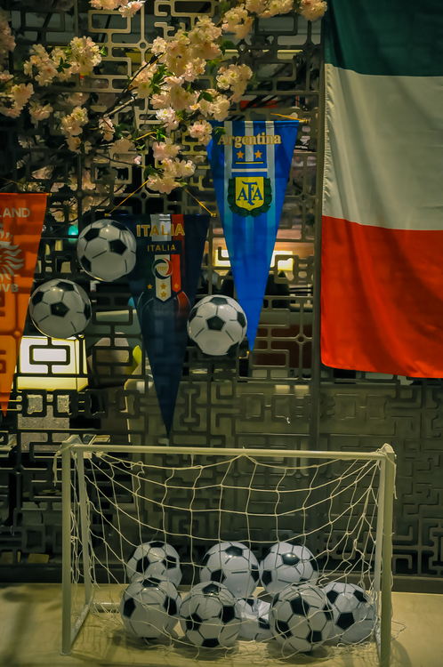 点击大图看下一张：欧洲杯的狂欢