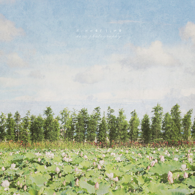 点击大图看下一张：时光寄语