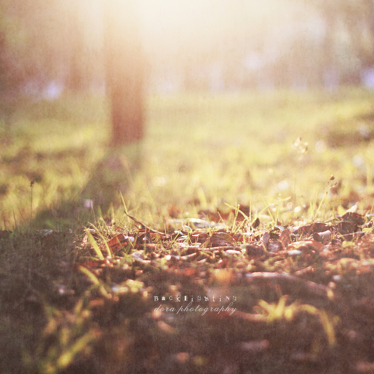 点击大图看下一张：时光寄语