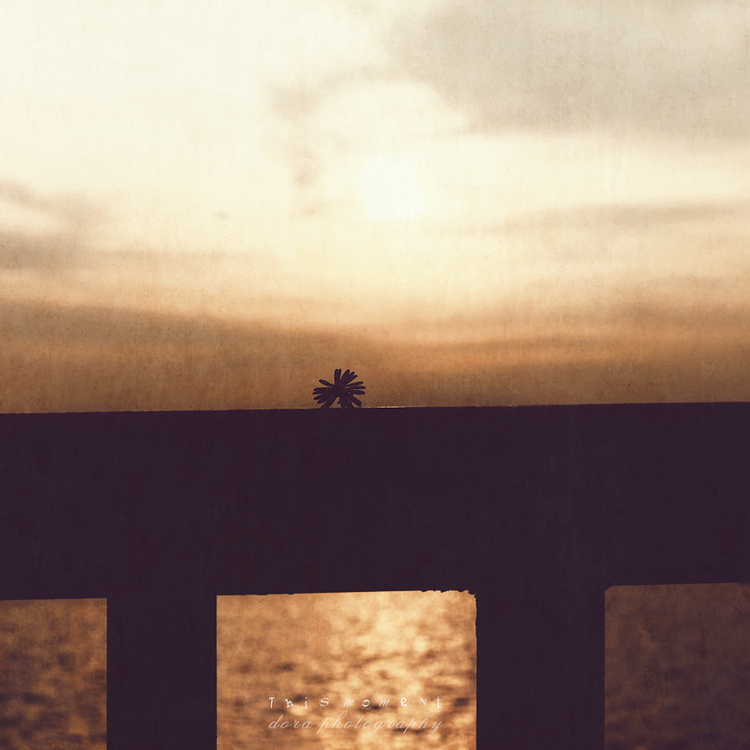 点击大图看下一张：时光寄语