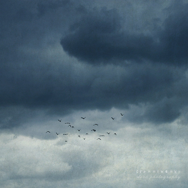 点击大图看下一张：时光寄语