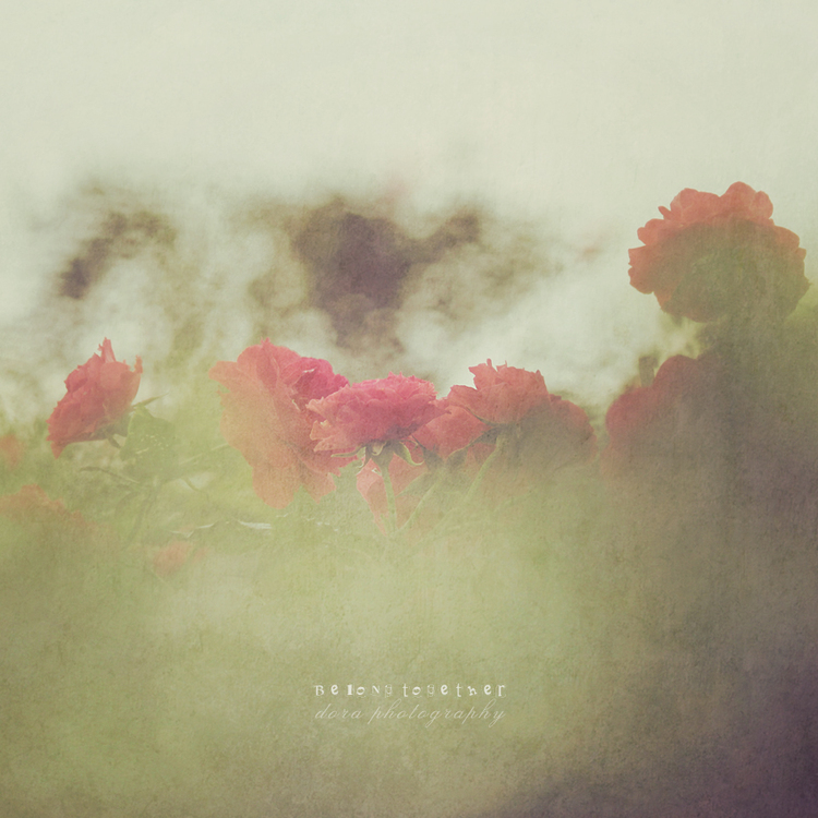 点击大图看下一张：时光寄语