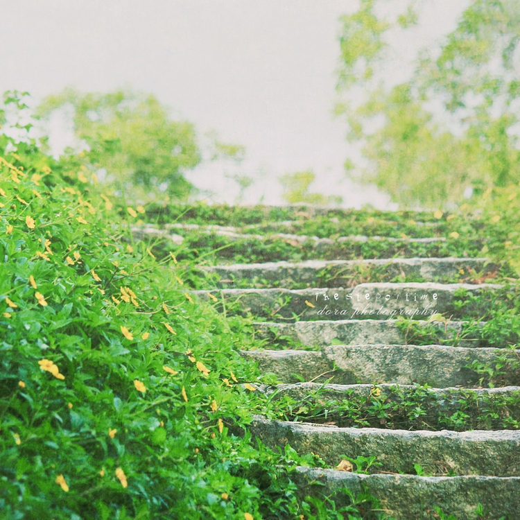 点击大图看下一张：时光寄语