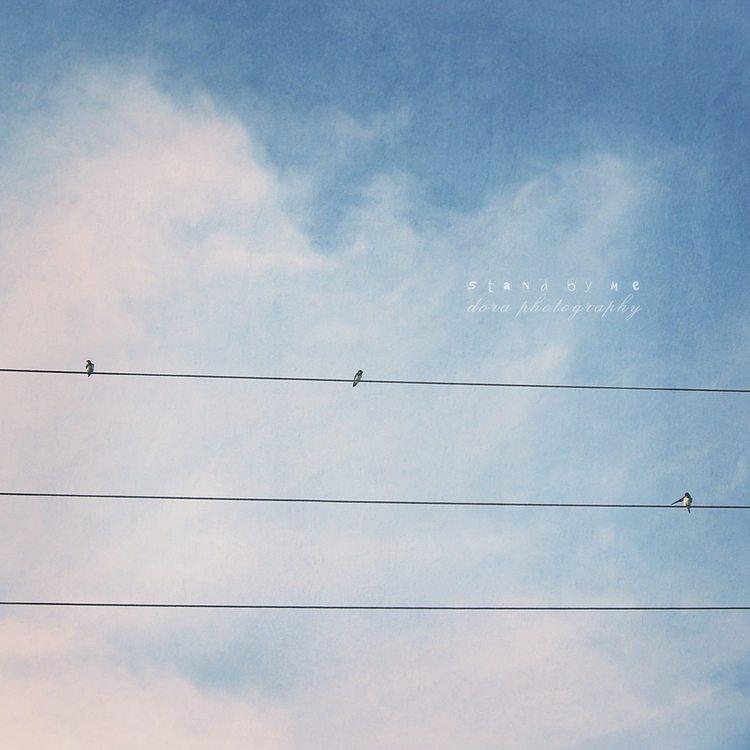 点击大图看下一张：时光寄语