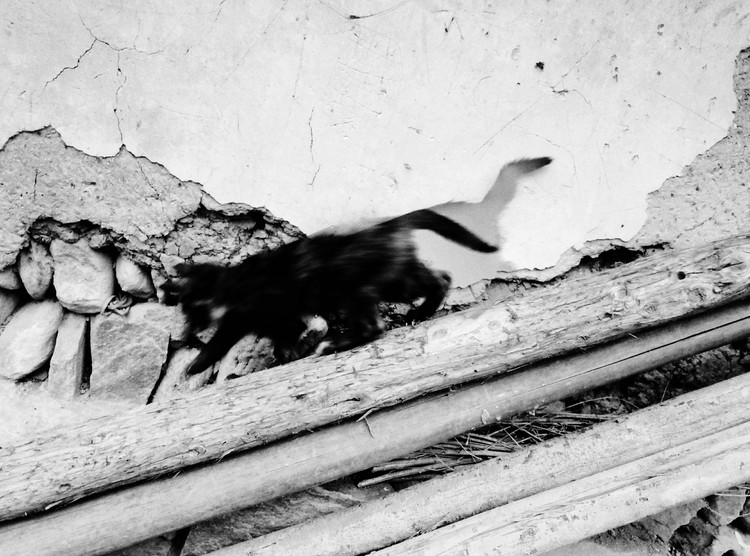 点击大图看下一张：夏日彷徨