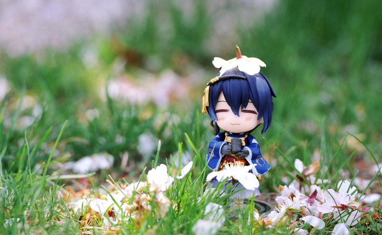 点击大图看下一张：小近春游樱花园