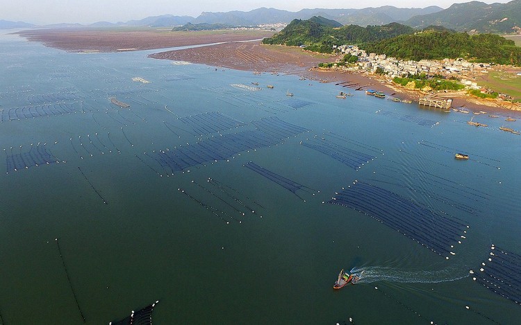 点击大图看下一张：静静的海湾