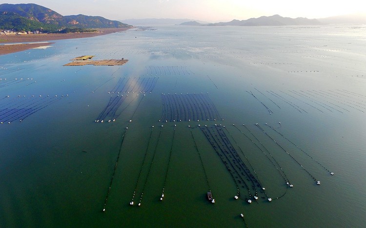 点击大图看下一张：静静的海湾