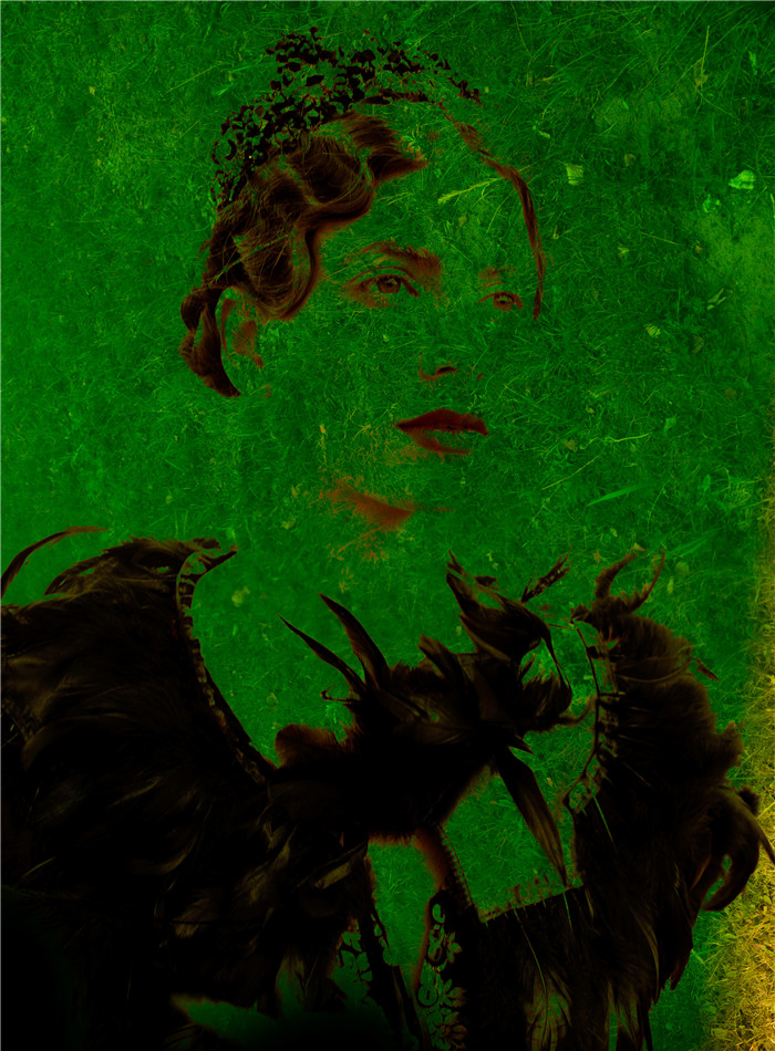 点击大图看下一张：迷途之草地