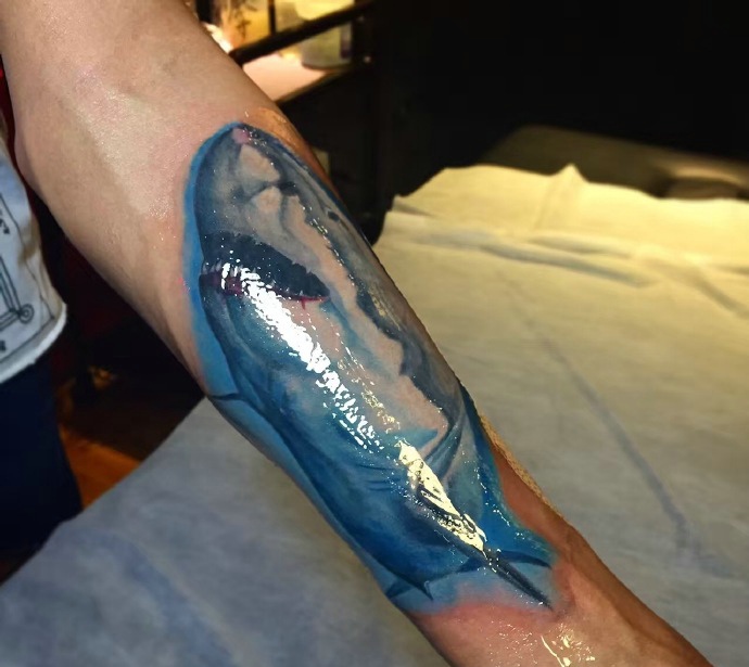 点击大图看下一张：一款小孩特别喜欢的手臂海豚纹身图案