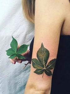 两款逼真的3d树叶与小花纹身刺青
