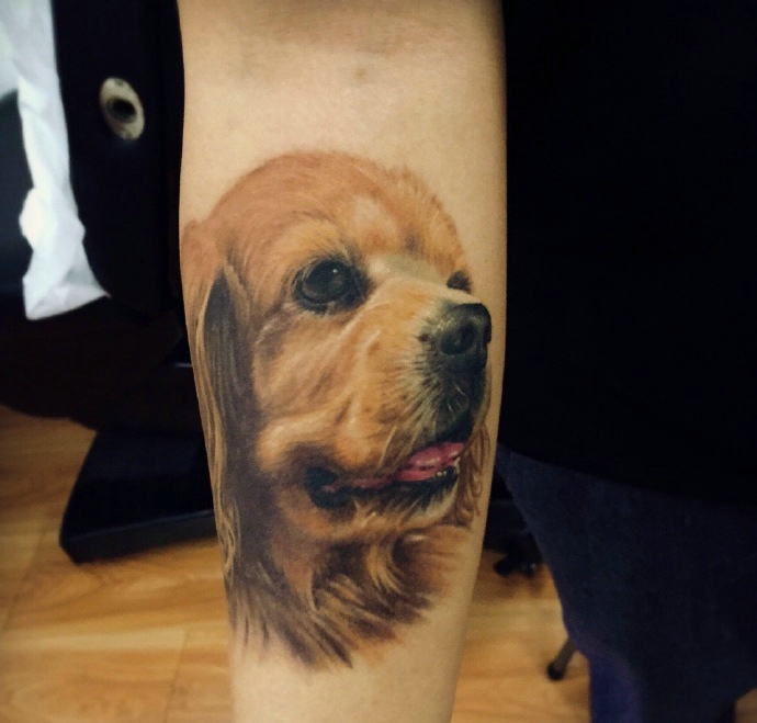 点击大图看下一张：可爱呆萌的手臂彩色小狗纹身图案