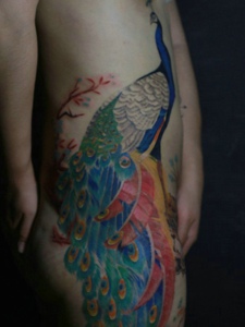 侧腰部骄傲自我的彩色孔雀纹身图案