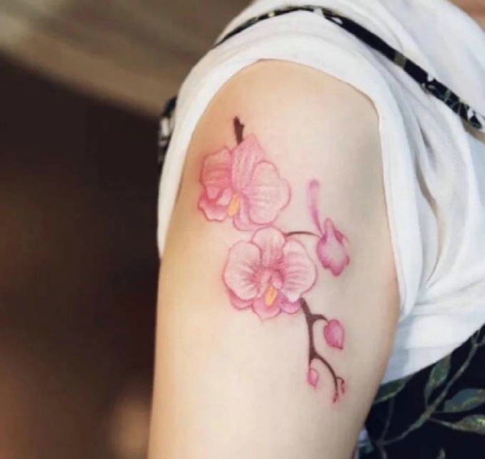 点击大图看下一张：适合女生的小樱花纹身图案很唯美