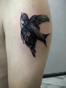 手臂一只可爱的小燕子纹身图案