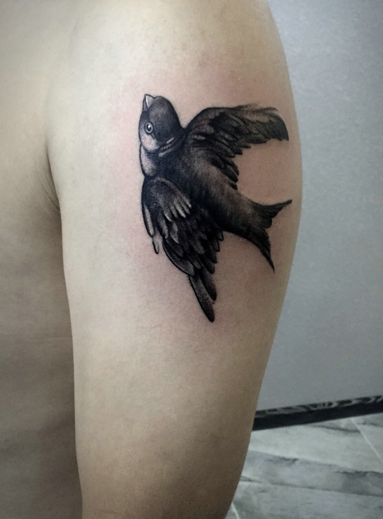 点击大图看下一张：手臂一只可爱的小燕子纹身图案
