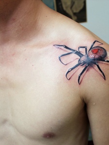 香肩上的一只3d蜘蛛纹身图案