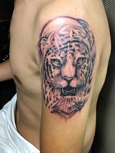 手臂一只老虎头像纹身图案很凶猛