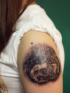 手臂动物纹身图案可爱动人