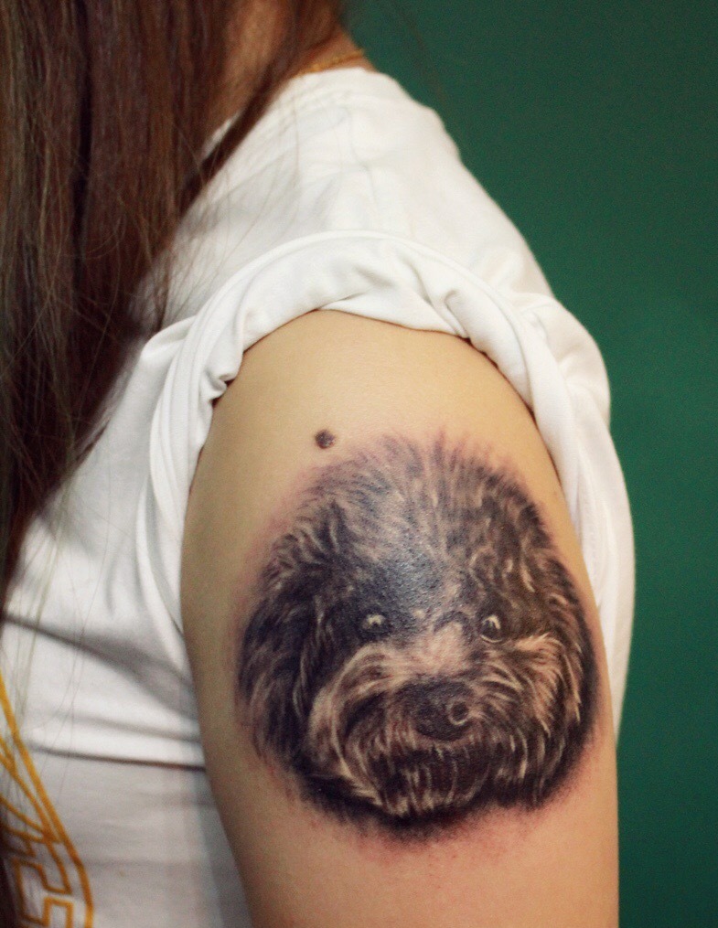 点击大图看下一张：手臂动物纹身图案可爱动人