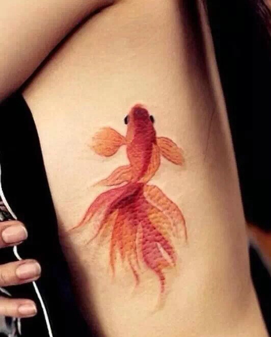 点击大图看下一张：侧腰部小金鱼纹身图案让人眼前一亮