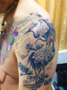 彩色半甲丹顶鹤纹身图案很美丽