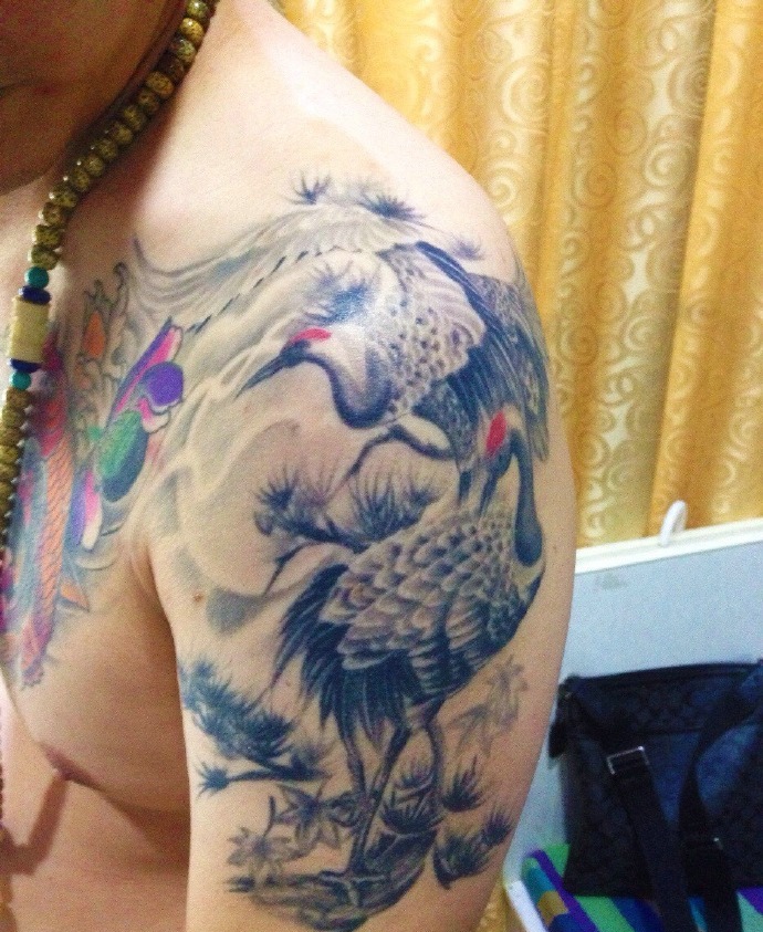 点击大图看下一张：彩色半甲丹顶鹤纹身图案很美丽