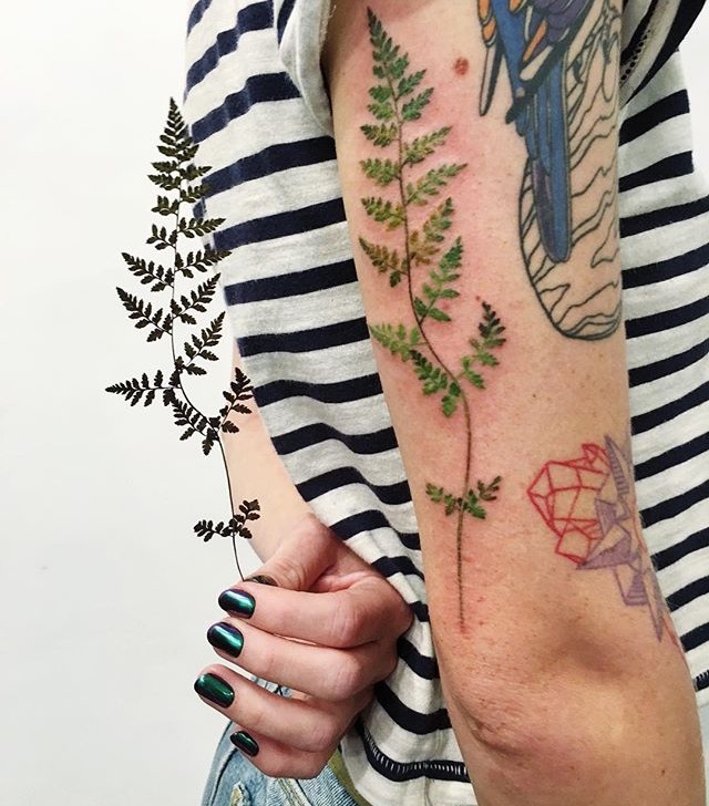 点击大图看下一张：一组非常精美的植物纹身图案