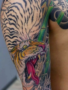 非常霸气的彩色半甲老虎纹身图案