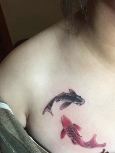 女生胸前的一对鲤鱼情侣纹身图案