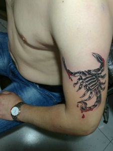 80后男士手臂一只蝎子纹身图案